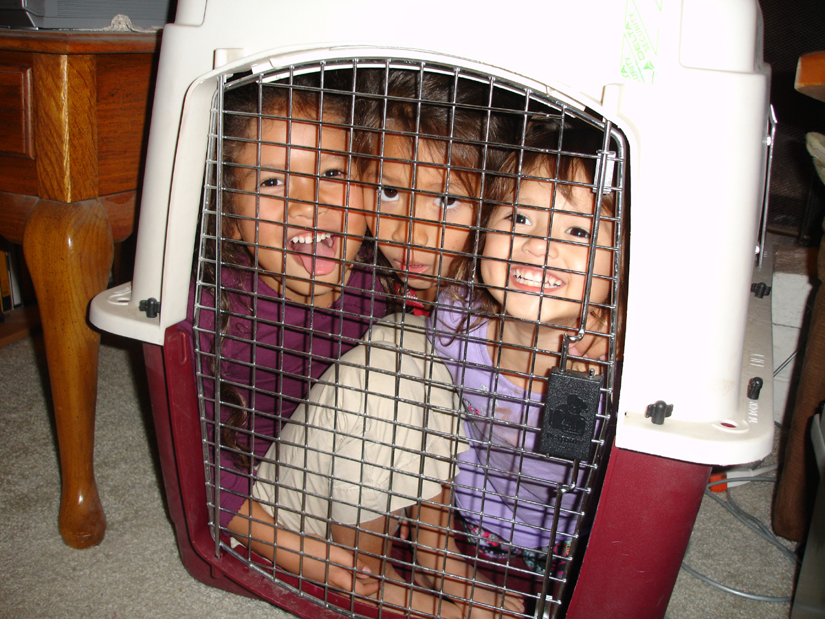  Private Asset Protection 