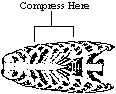  typical ribcage diagram 